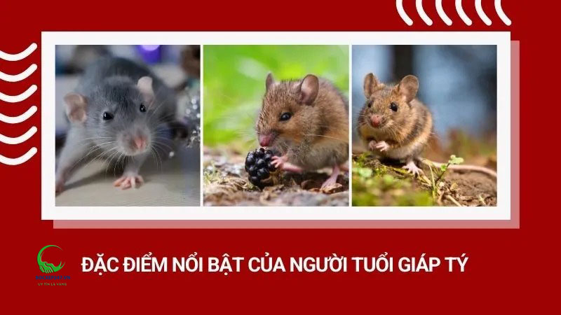 Đặc điểm nổi bật của người tuổi Giáp Tý