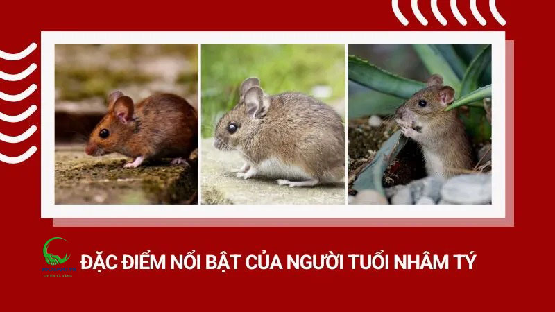 Đặc điểm nổi bật của người tuổi Nhâm Tý