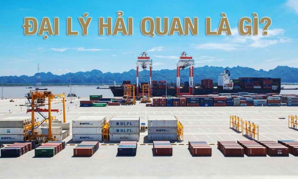 dich-vu-dai-ly-hai-quan-la-gi.jpg