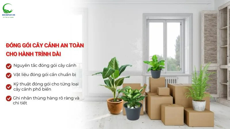 Đóng gói cây cảnh an toàn cho hành trình dài