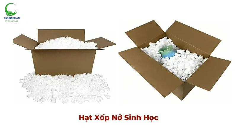 Hạt xốp nở sinh học
