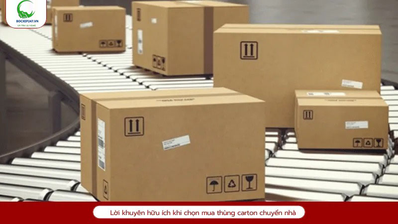 Lời khuyên hữu ích khi chọn dịch vụ bốc xếp