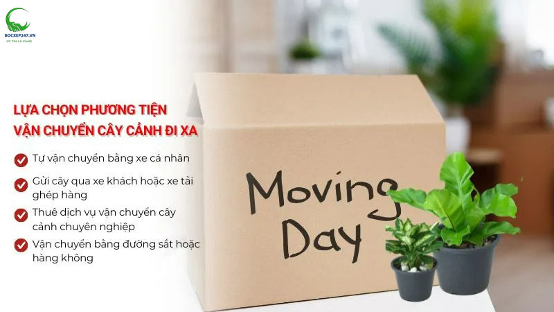 Lựa chọn phương tiện vận chuyển cây cảnh đi xa