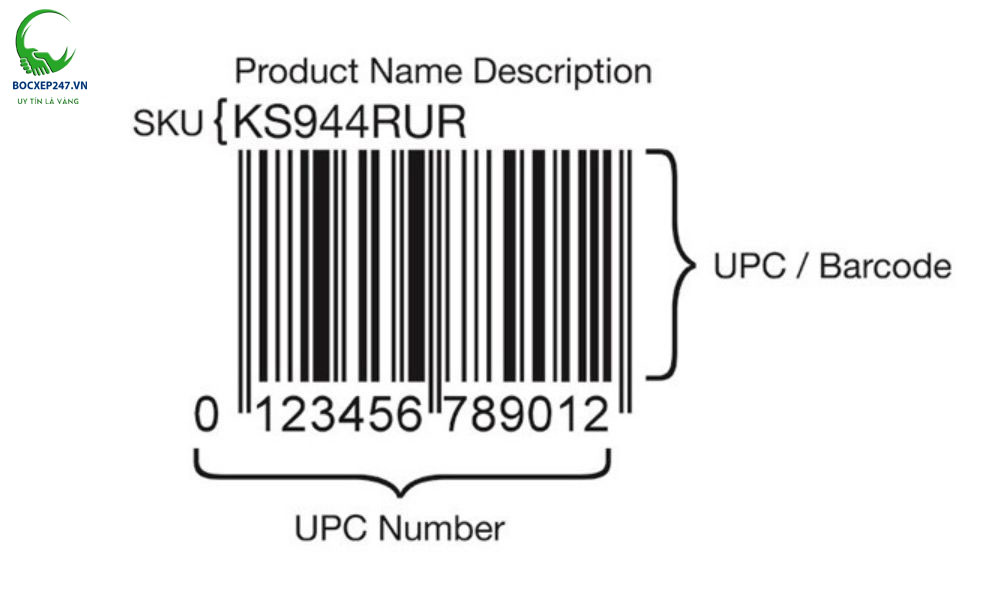 Phân biệt SKU và UPC