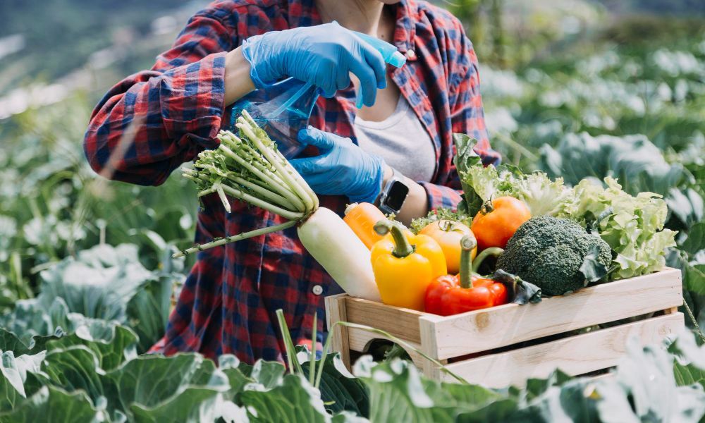 Việt Nam là quốc gia có tiềm năng xuất khẩu nông - lâm - thủy sản