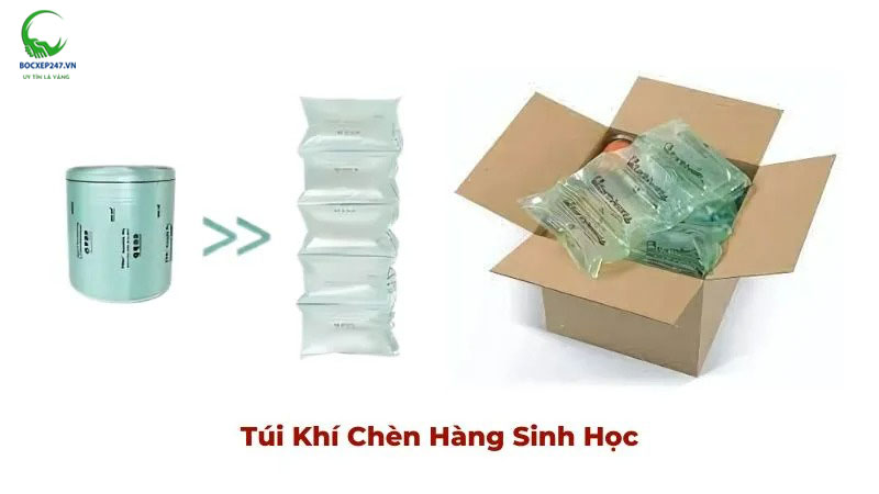 Túi khí chèn hàng sinh học