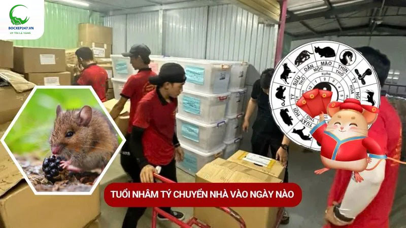Tuổi Nhâm Tý chuyển nhà vào ngày nào